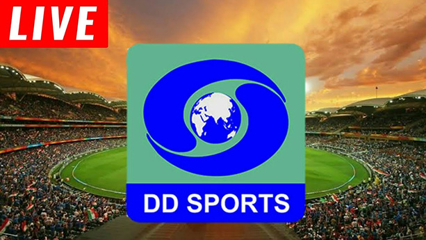 DDSports DDSports